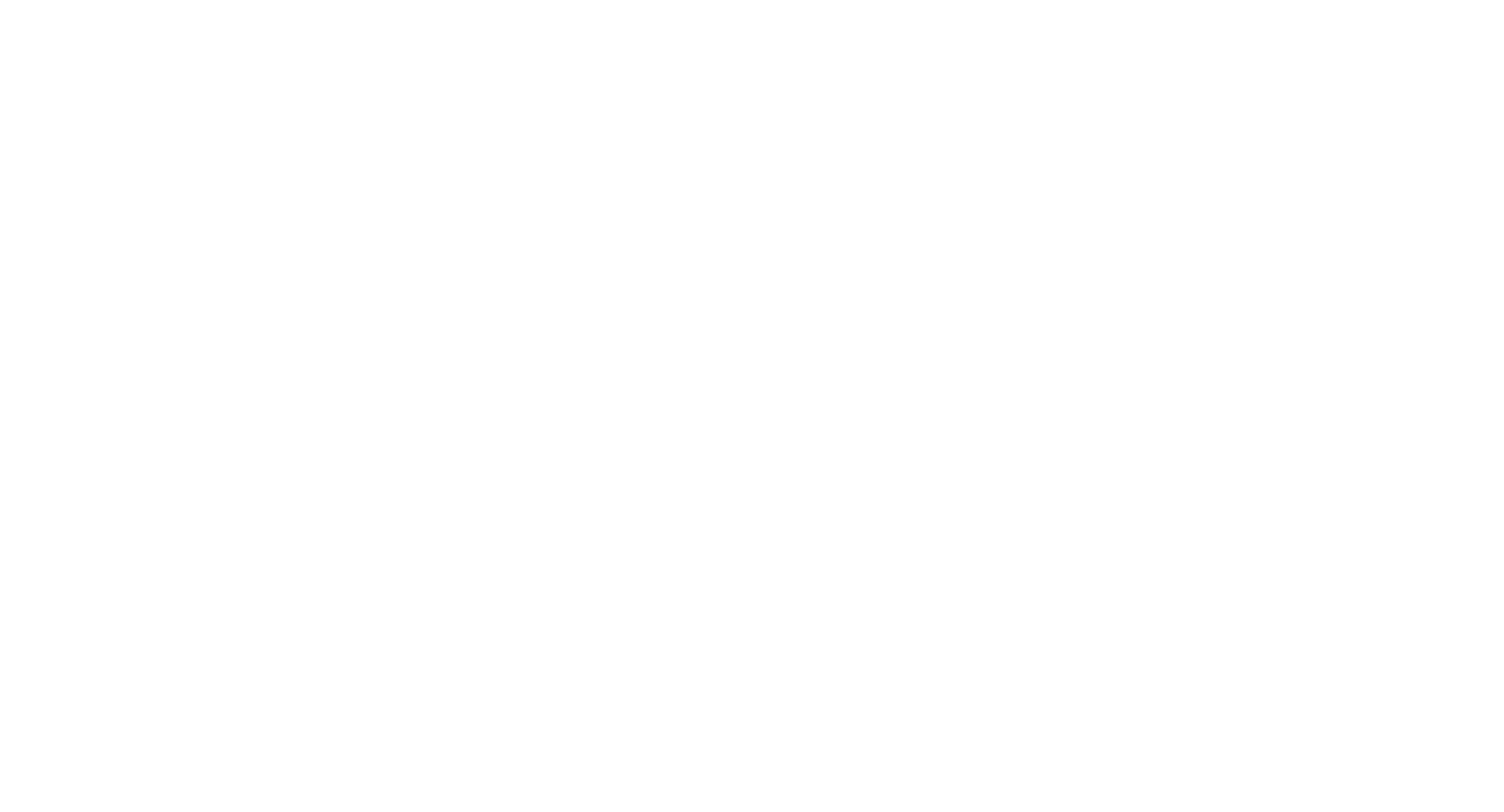 Career History